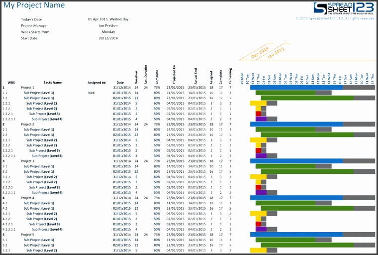 Project Gantt Chart