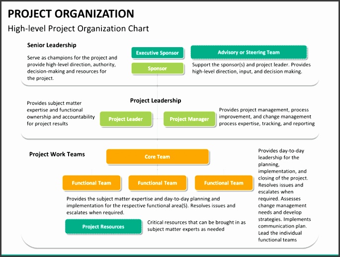 Project organization PPT slide 13