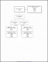 7  Project organization Chart