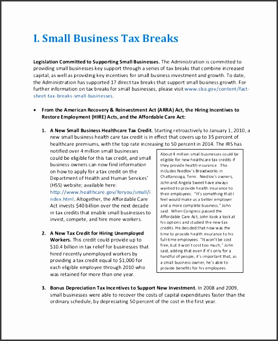 Small Business Project Report Template
