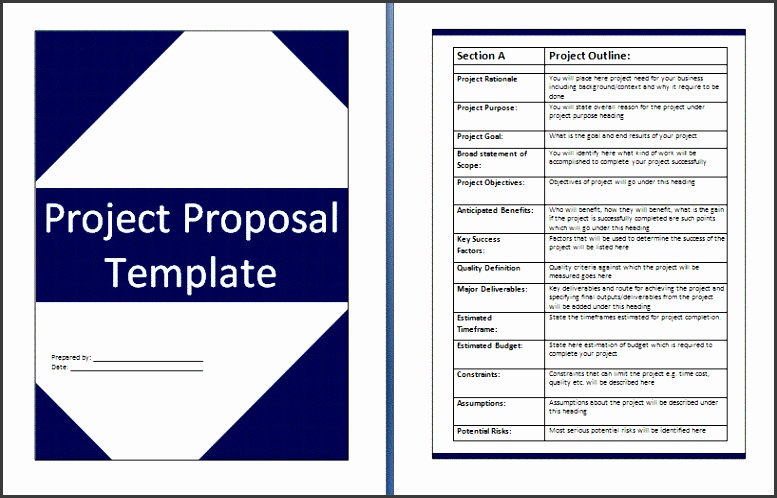 Project Proposal Template