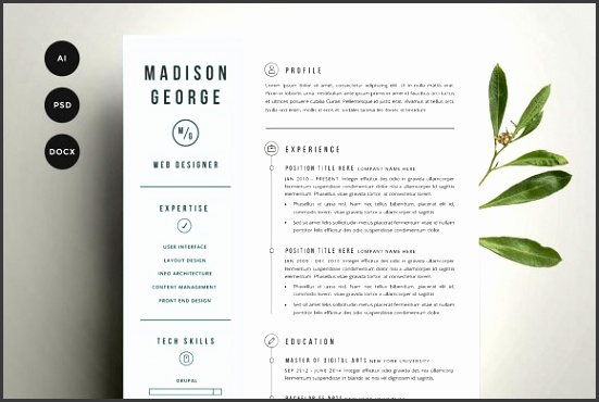 Resume & Cover Letter Template Resumes