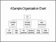 10  Sample organisation Chart