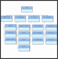pany Organizational Chart