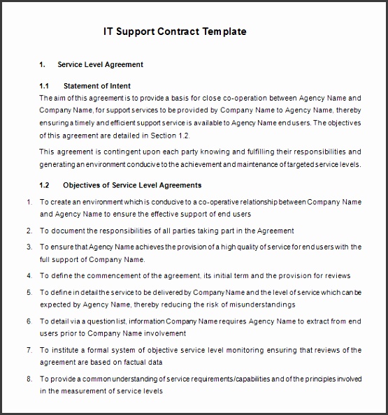 Basic IT Support Contract Template Free Download