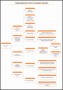 10  Staff Structure Chart Template