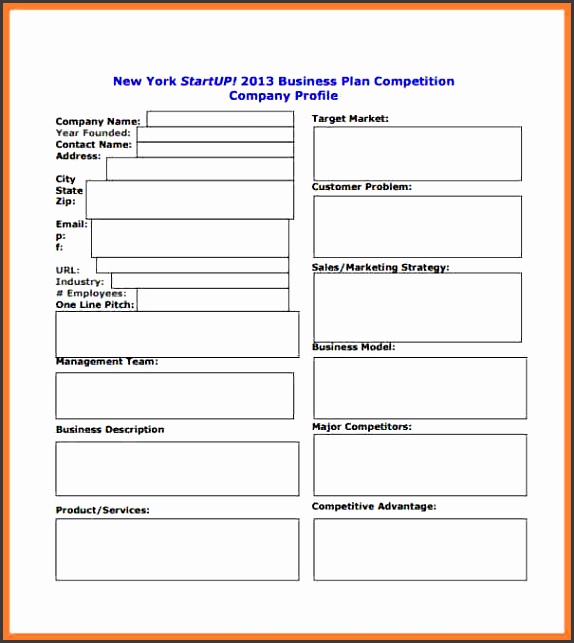 business plan template for startup pany Startup Business Plan Template pdf