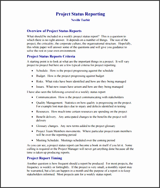 Software Project Weekly Status Report Template PDF Printable
