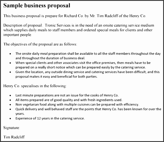Business Proposal Format
