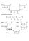 Consonant Digraphs Sh Ch Wh Th Worksheet – consonant digraphs ch wh th sh worksheets readers activities anchor …