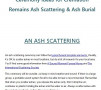 Skip Counting By 2s Game – Count on by 2s game