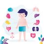 Human Body Organs Functions For Kids – Teach kids